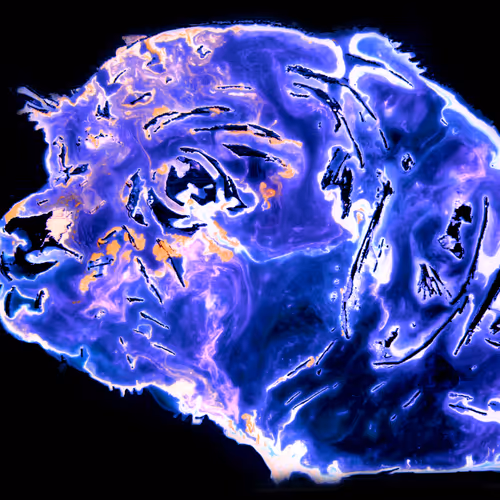 Moving Images of Universal Scale