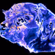 Moving Images of Universal Scale