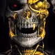 Moving Skull