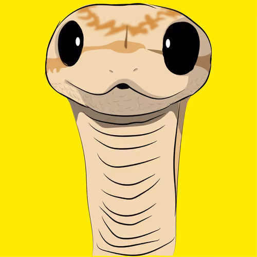MR.Cobra