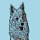 MR_REO