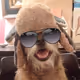 Mr. Winston - old