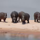 MrB collection #2 - Africa