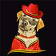 Mr Dog Maz