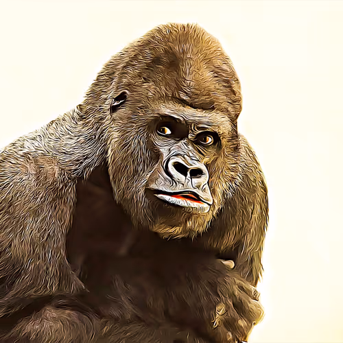 MrGorillaNFT