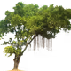 MS Pixel Paint