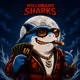 MSC OG SHARKS