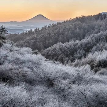 Mt.Fuji Photo Collection