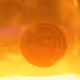 MUCH HOLY MUCH DOGE COIN
