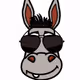 Donkey Exhibition