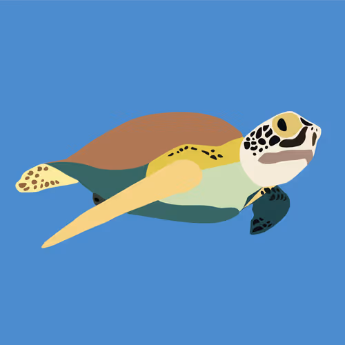 multicellular eukaryotic organisms