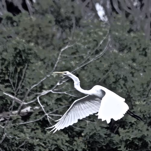 Natural Landscapes Collection