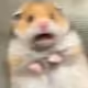 111