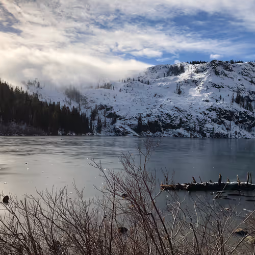 Muse Bandit Photo Editions