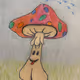 Mushroom Heads Collection