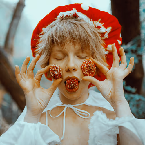 Mushroom fairy tale - old