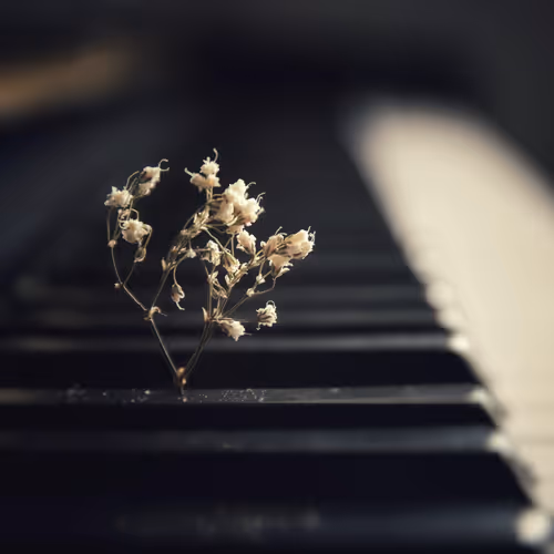 Music Diary