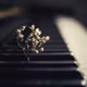 Music Diary