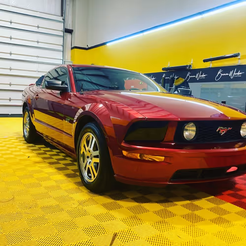 Mustang treasures