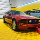 Mustang treasures