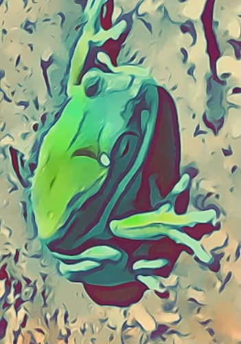 musty frogs