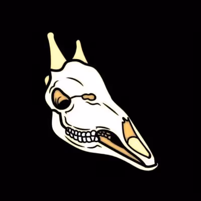 .Mutant Age camel Club