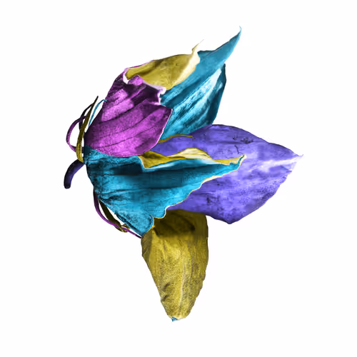 MUTUALISM: Botanicals