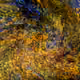 My ABSTRACTIONS 00100