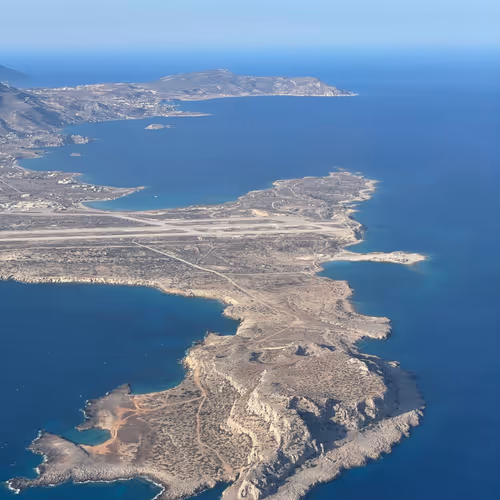 My ape collections and more