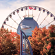 My Autumn Days in Montreal