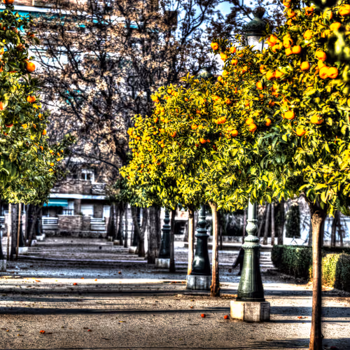 My city in HDR