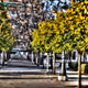 My city in HDR