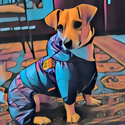 my first puppy collection