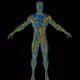MY HUMAN CANVAS