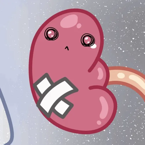 My Kidney