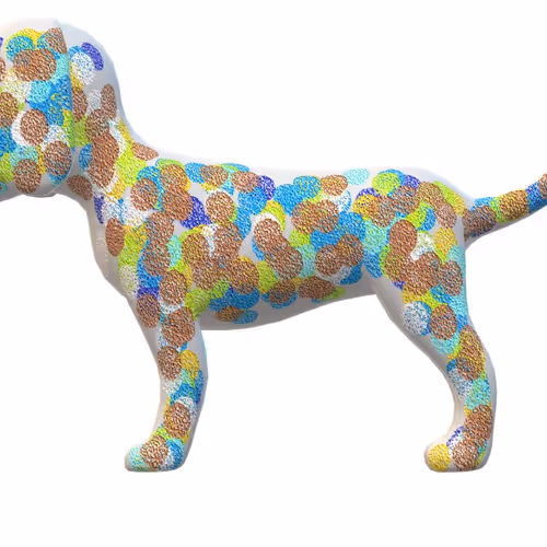 My lovely cat and dog