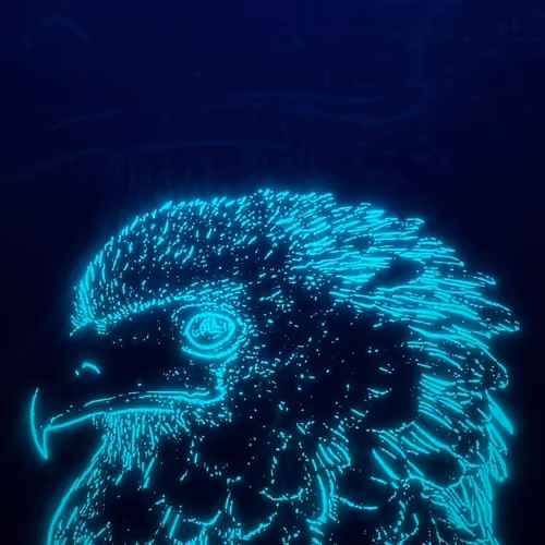 My Motion Graphics Collection