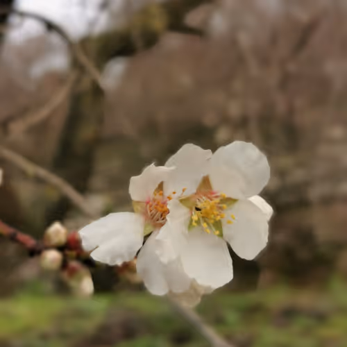 My_Nature_