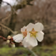 My_Nature_