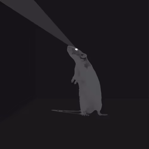 My Newer Stuff