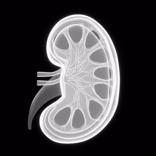 My organs - old