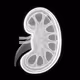 My organs - old