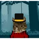 My Pixel Kitten