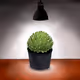 MY PLANTS ARE COOL