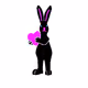 My Rabbit.