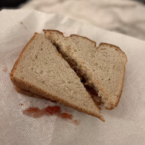 my sammiches