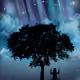 My starry sky collection