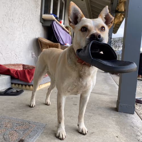 my test collection - VHqFnc0nbK - old