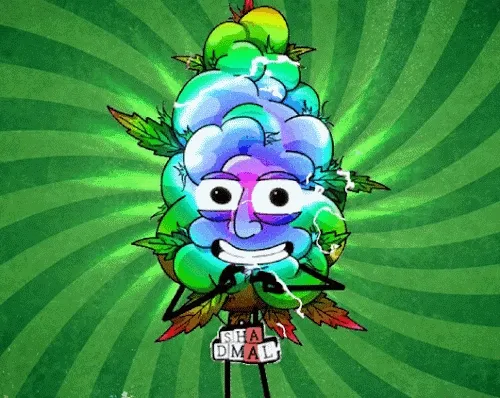 My Treasure BOXX By Japan