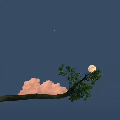 My View of Nature and life